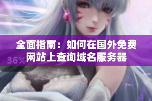 全面指南：如何在国外免费网站上查询域名服务器