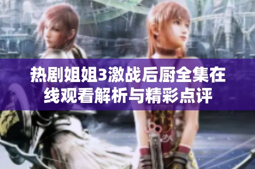 热剧姐姐3激战后厨全集在线观看解析与精彩点评