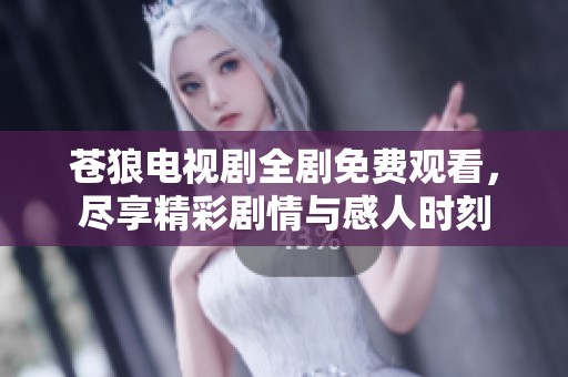 苍狼电视剧全剧免费观看，尽享精彩剧情与感人时刻