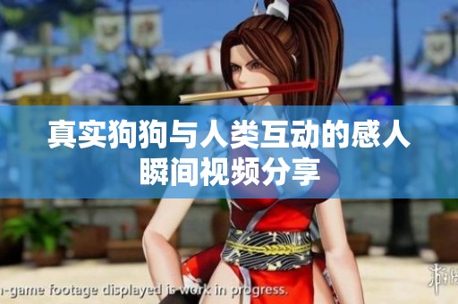 真实狗狗与人类互动的感人瞬间视频分享