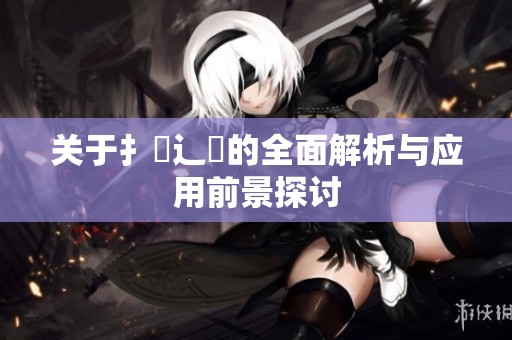 关于扌喿辶畐的全面解析与应用前景探讨