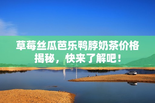 草莓丝瓜芭乐鸭脖奶茶价格揭秘，快来了解吧！