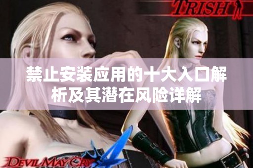 禁止安装应用的十大入口解析及其潜在风险详解