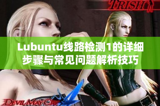 Lubuntu线路检测1的详细步骤与常见问题解析技巧