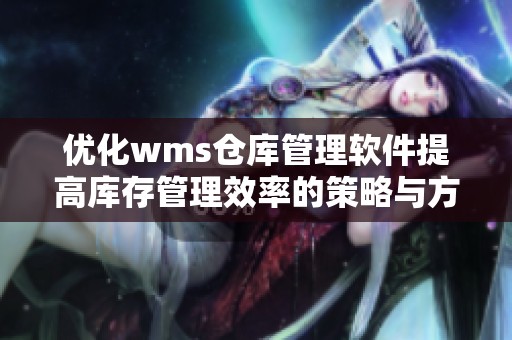 优化wms仓库管理软件提高库存管理效率的策略与方法