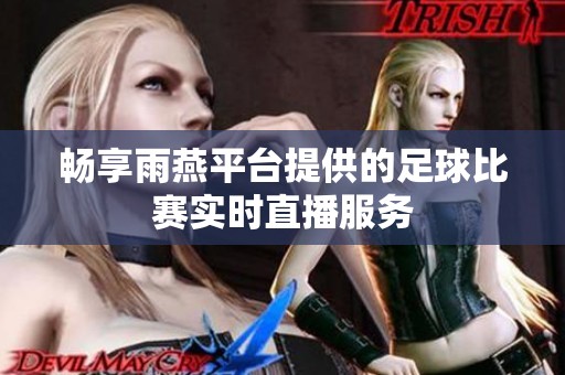 畅享雨燕平台提供的足球比赛实时直播服务