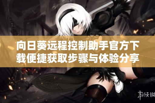 向日葵远程控制助手官方下载便捷获取步骤与体验分享
