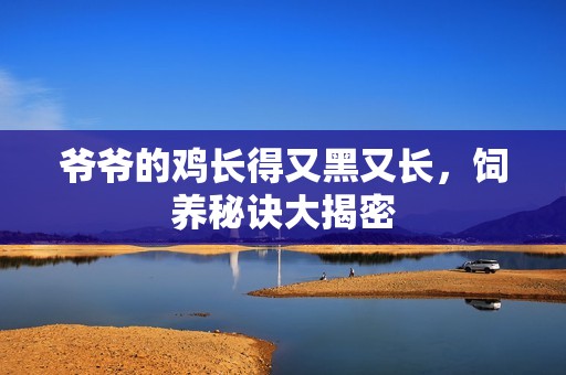 爷爷的鸡长得又黑又长，饲养秘诀大揭密