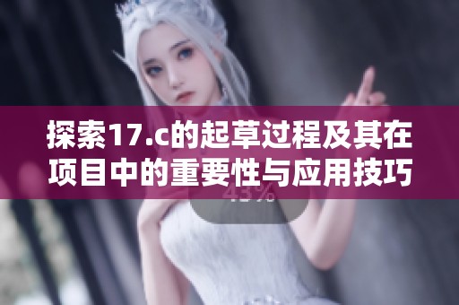 探索17.c的起草过程及其在项目中的重要性与应用技巧