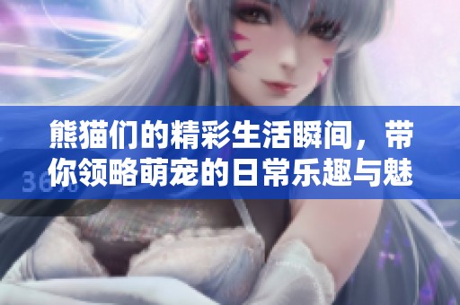 熊猫们的精彩生活瞬间，带你领略萌宠的日常乐趣与魅力