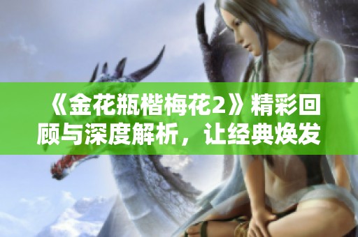 《金花瓶楷梅花2》精彩回顾与深度解析，让经典焕发新生魅力