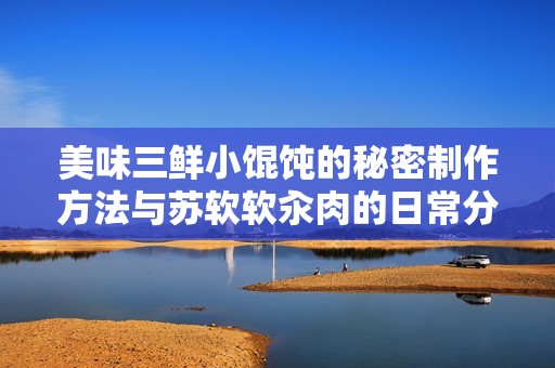 美味三鲜小馄饨的秘密制作方法与苏软软汆肉的日常分享