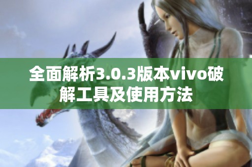全面解析3.0.3版本vivo破解工具及使用方法