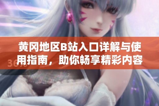 黄冈地区B站入口详解与使用指南，助你畅享精彩内容