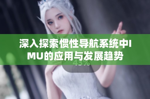 深入探索惯性导航系统中IMU的应用与发展趋势