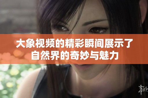 大象视频的精彩瞬间展示了自然界的奇妙与魅力
