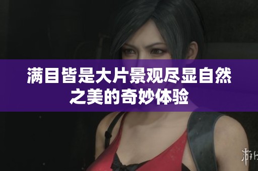 满目皆是大片景观尽显自然之美的奇妙体验
