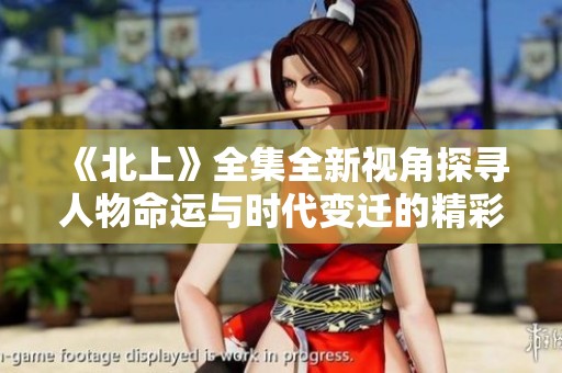 《北上》全集全新视角探寻人物命运与时代变迁的精彩故事