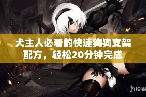 犬主人必看的快速狗狗支架配方，轻松20分钟完成